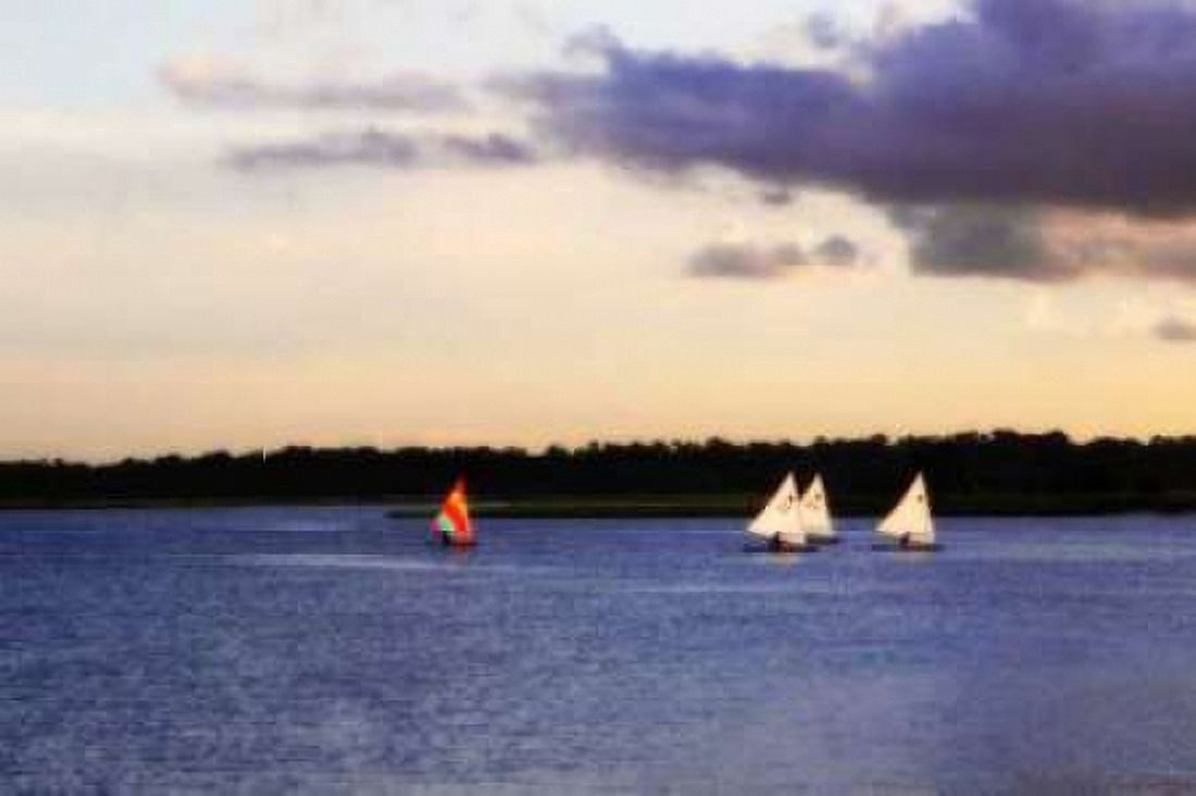 Sunfish Sailors II Canvas Art - Alan Hausenflock (20 x 28)