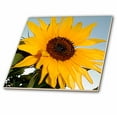 thumbnail image 1 of 3dRose, Sunflower, 4 Inch Ceramic Tile, 1 of 1