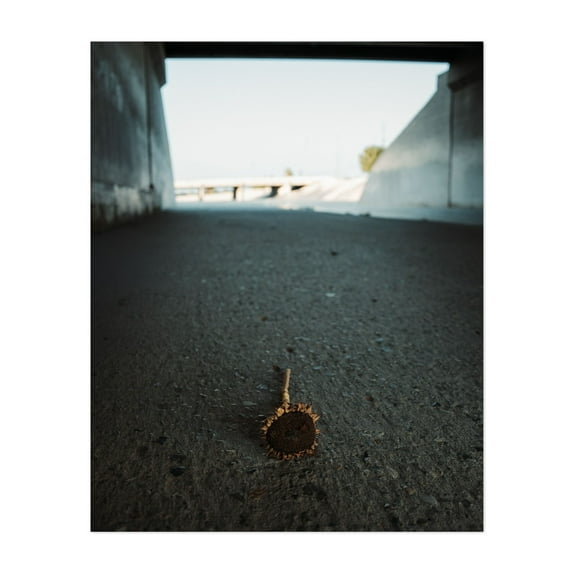 Sunflower Abandoned - Los Angeles California Photography Minimalist Moody Floral Abandoned Nature Street Photography Surrealism Unframed Wall Art Print 20 x 24 inches