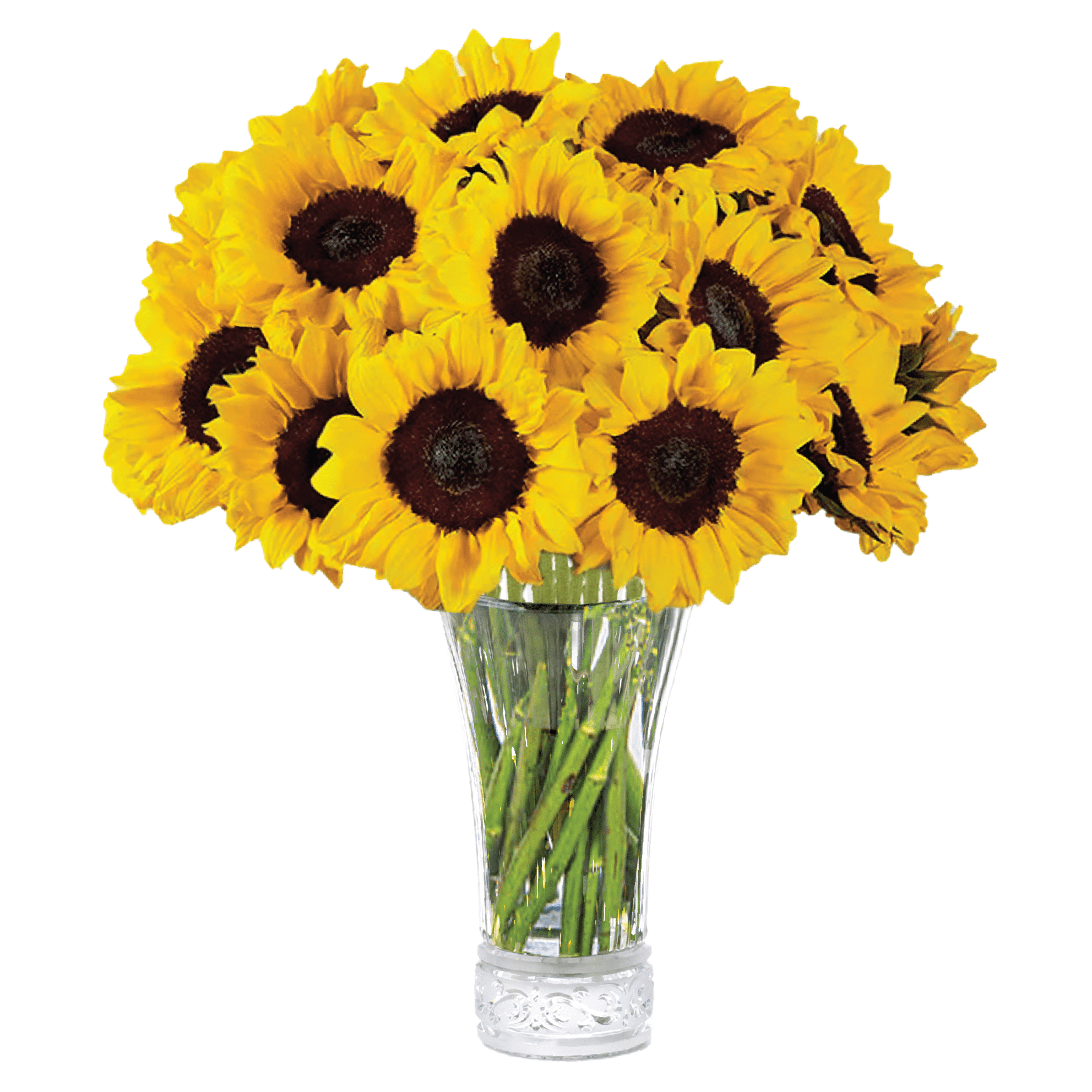 Sunflower Bouquet, Best Next-Day Fresh Flowers for Delivery, Ideal for Birthdays, Get Well Gift for Women, Anniversary, Sympathy, Congratulations, Thank You Gift, or Just because