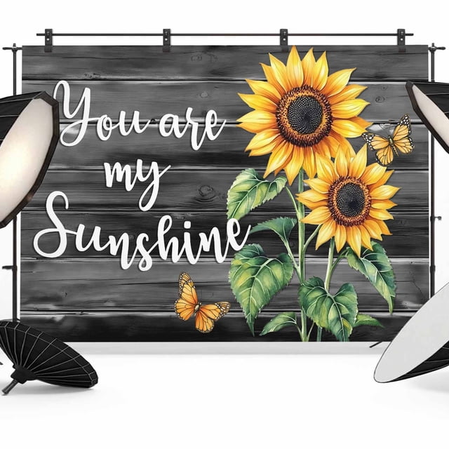 Sunflower Butterfly Backdrop for Photography, You Are My Sun Shine ...