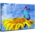 thumbnail image 1 of Sunflower Butterfly Wall Art Bathroom Decor Blue Sky Nature Landscape Canvas Prints Kitchen Pictures Sunflower Painting for Bedroom Artwork Yellow Floral Posters Living Room Home Decorations 12x16", 1 of 6