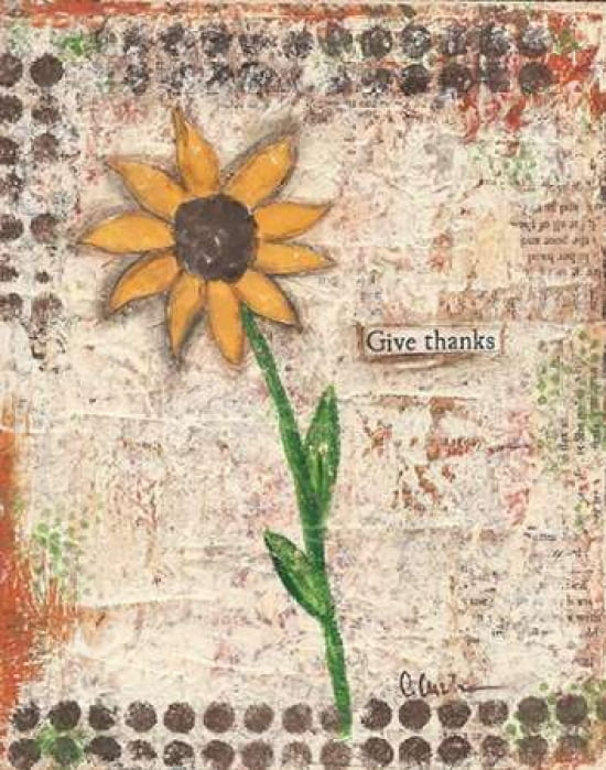 Sunflower Canvas Art - Cassandra Cushman (22 x 28)