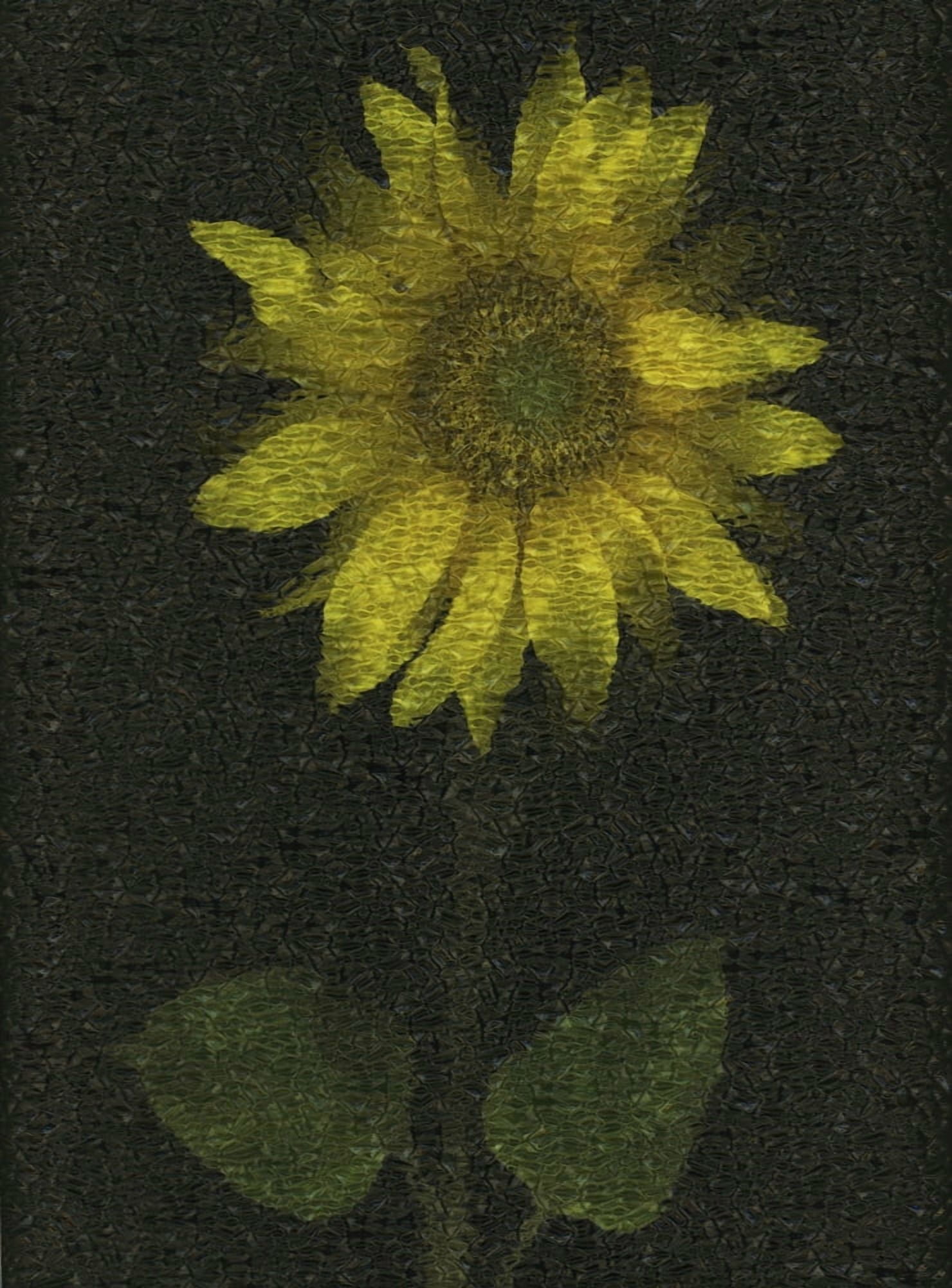 Sunflower Canvas Art - Deddeda Design Pics (12 x 16)