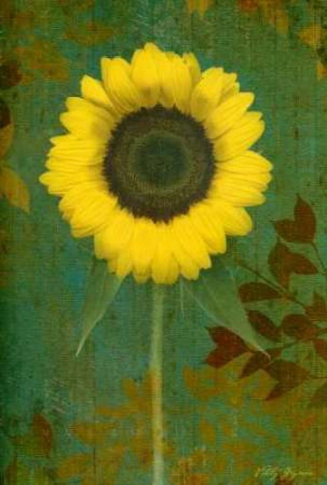 Sunflower Canvas Art - Vitaly Geyman (20 x 28)
