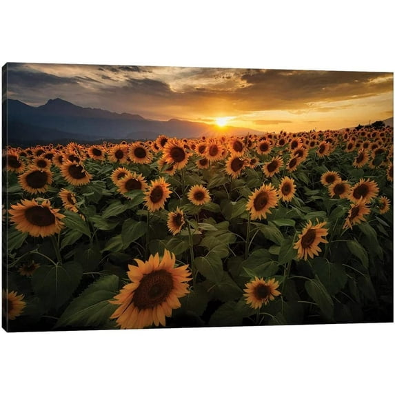 Sunflower Canvas Wall Art Yellow Plant Prints Pictures, Field fo Blooming Sunflower Landscape Painting for Living Room Wall Decor, Stretched and Artwork for Home Decor 18x12