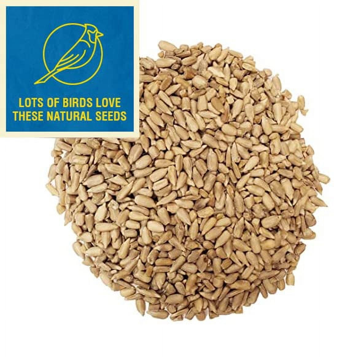 Sunflower Chips Medium Sized Shelled No Waste Bird Seed (20 Pounds)