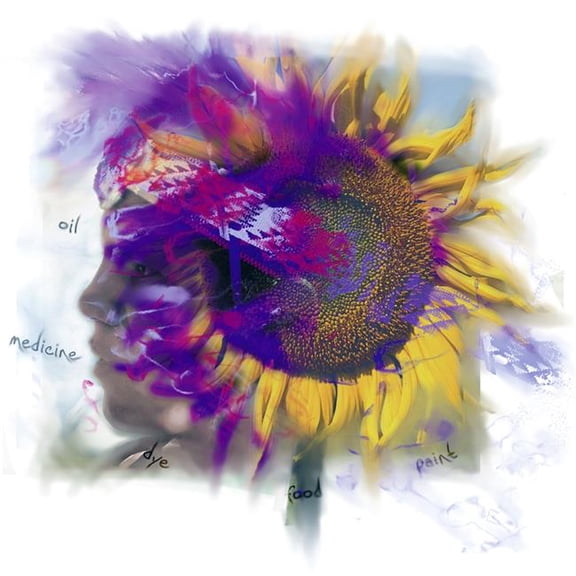 Sunflower Composite Poster Print by Design Pics Eye Traveller - 15 x 15