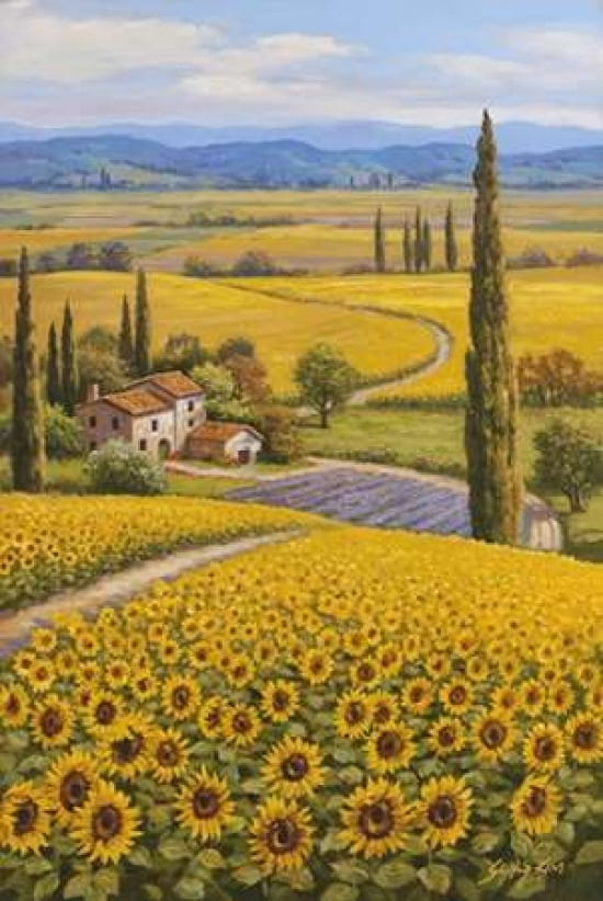 Sunflower Field Canvas Art - Sung Kim (24 x 36)