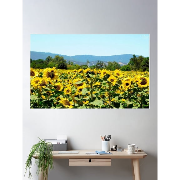 Sunflower Field Close Up Poster Wall Art, Modern Wall Decor For Living Room Bedroom, 8x12 UNFRAMED
