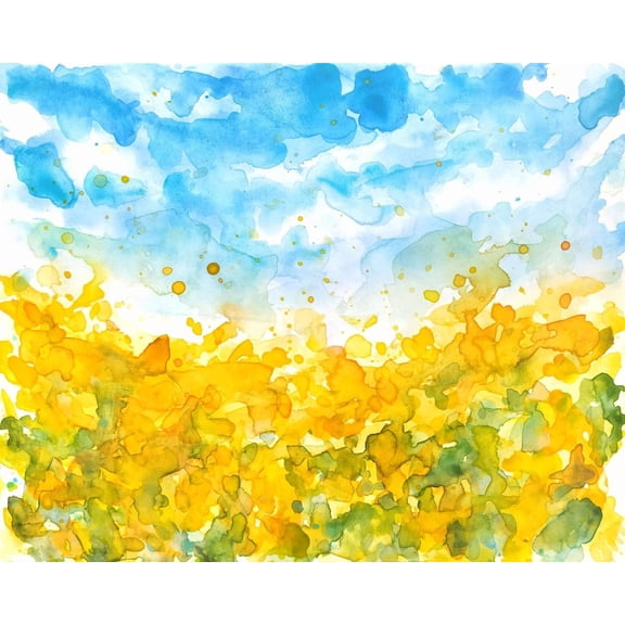 Sunflower Field Wall Art Print Ukrainian Landscape Decor
