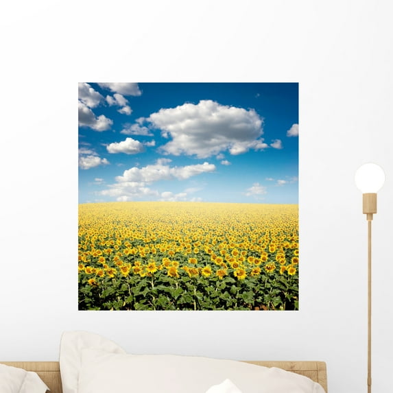 Sunflower Field Wall Mural by Wallmonkeys Peel and Stick Graphic (18 in H x 17 in W) WM25183