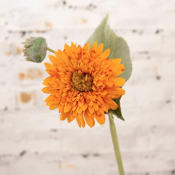 Sunflower Flower Crafts Flower Wedding Decoration