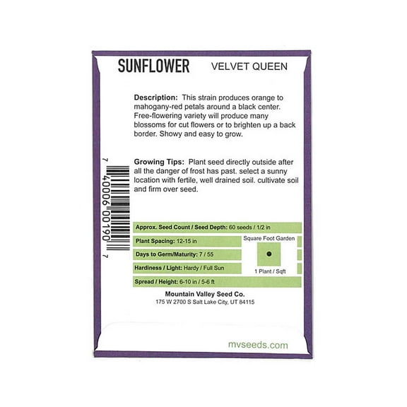 Sunflower Flower Garden Seeds - Velvet Queen - 2 g Packet - Annual Wildflower Gardening Seeds - Mountain Valley Seeds