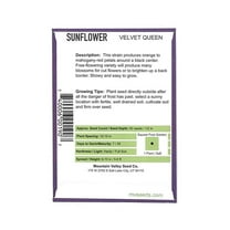 Sunflower Flower Garden Seeds - Velvet Queen - 2 g Packet - Annual Wildflower Gardening Seeds - Mountain Valley Seeds