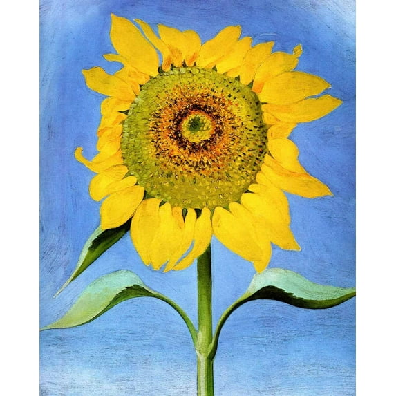 Sunflower For Maggie - O'Keeffe - CANVAS OR PRINT WALL ART