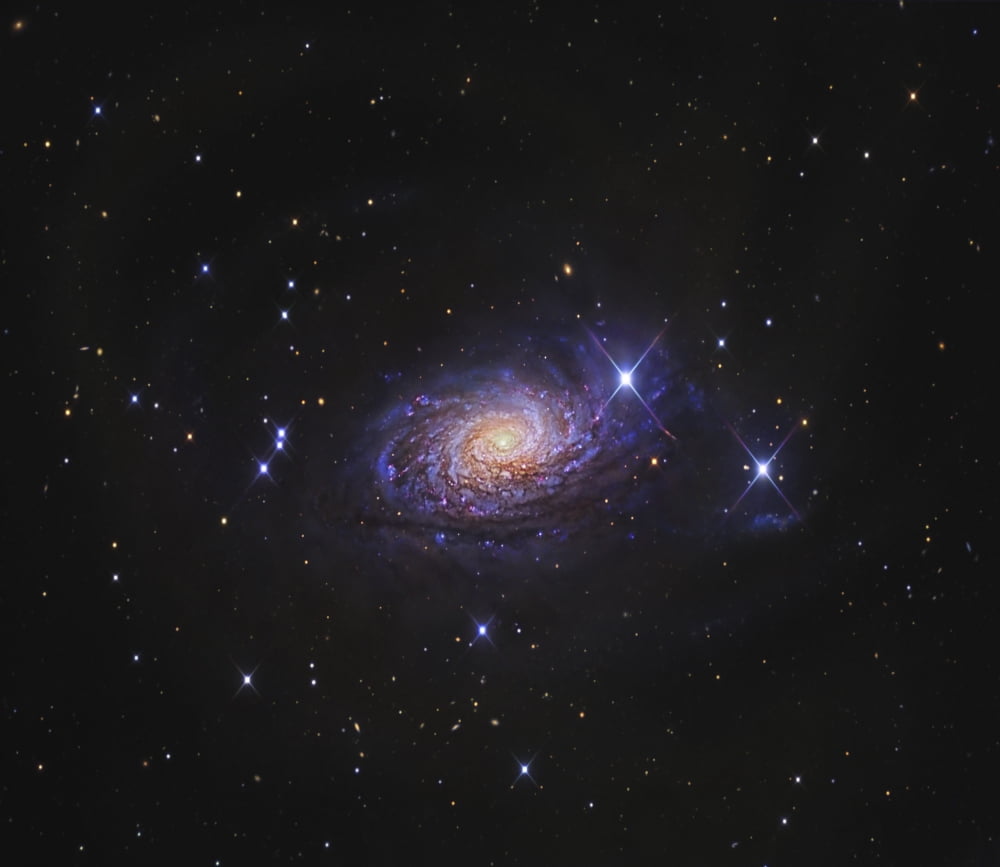Sunflower Galaxy Canvas Art - R Jay GaBanyStocktrek Images (15 x 13)