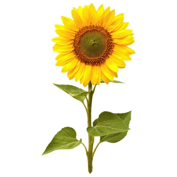 Sunflower Garden Decor Stakes, Metal Yard Art with Head, Spring Outdoor Lawn and Porch Decorations for Garden and Yard