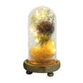 thumbnail image 1 of Sunflower Gifts for Women, Sunflowers Artificial Flowers in Glass Dome with LED Strip, Birthday Gifts for Mom Grandma, Light up Sunflower Decor on Mother's Day, Christmas, Valentine's Day, 1 of 1