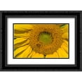 thumbnail image 1 of Sunflower II 2x Matted 24x18 Black Ornate Framed Art Print by Peterson, Lee, 1 of 2