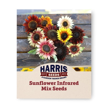 Harris Seeds Infrared Mix F1 Sunflower, Pollen-Free Red and Bicolor Blooms for Cut Flowers, 50 Count