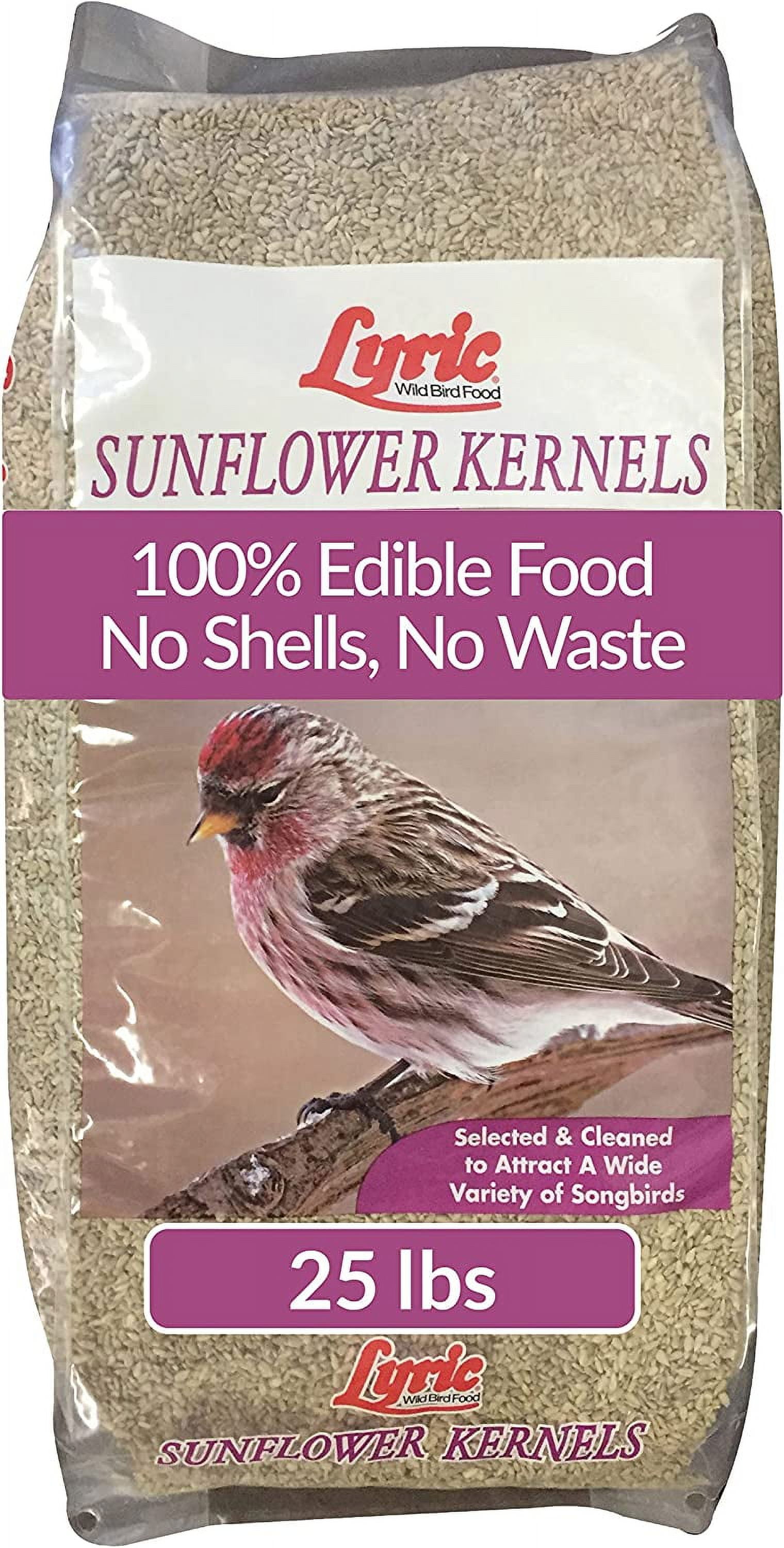 Sunflower Kernels Wild Bird Seed No Waste Bird Food Attracts Finches ...