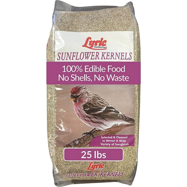 Sunflower Kernels Wild Bird Seed No Waste Bird Food Attracts Finches ...