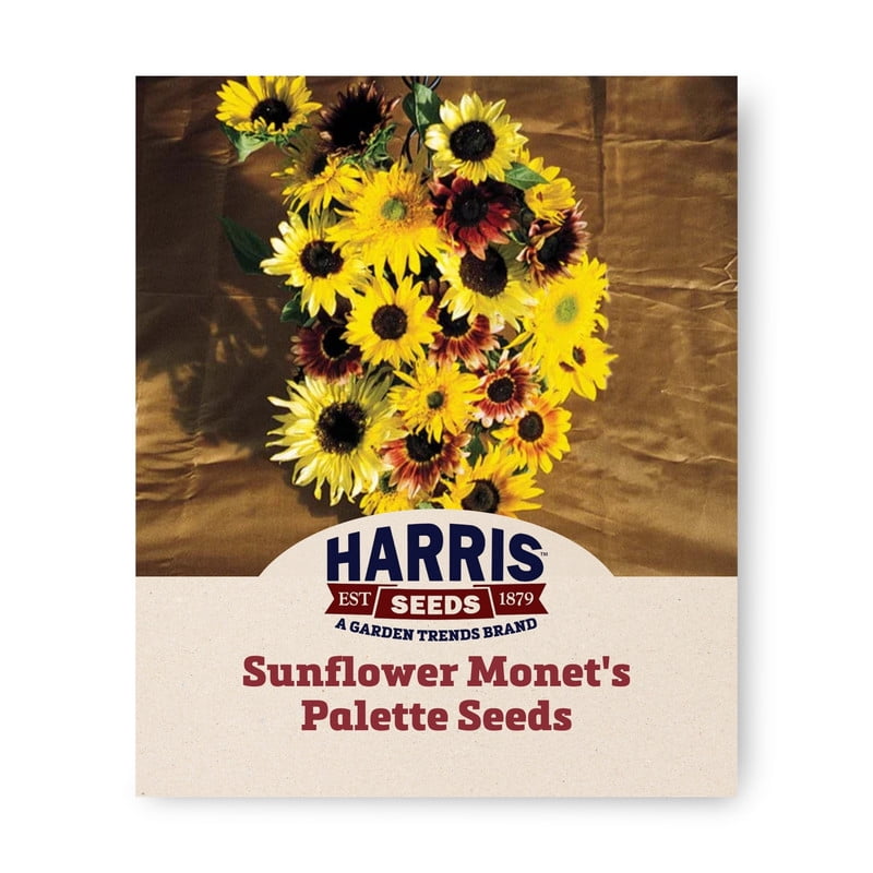 Harris Seeds Monet’s Palette F1 Sunflower Mix, Pollen-Free Hybrid Cut Flower Variety, 1,000 Count