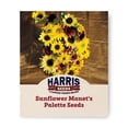 thumbnail image 1 of Harris Seeds Monet’s Palette F1 Sunflower Mix, Pollen-Free Hybrid Cut Flower Variety, 250 Count, 1 of 7