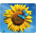 thumbnail image 1 of Sunflower Mouse Pad with Blue Butterfly Pattern Printed, Beautiful Yellow Floral Square Mouse Pads with Blue Background, Decorative Waterproof Non-Slip Rubber Mouse Mat for Office Laptop, 10x12 Inch, 1 of 5