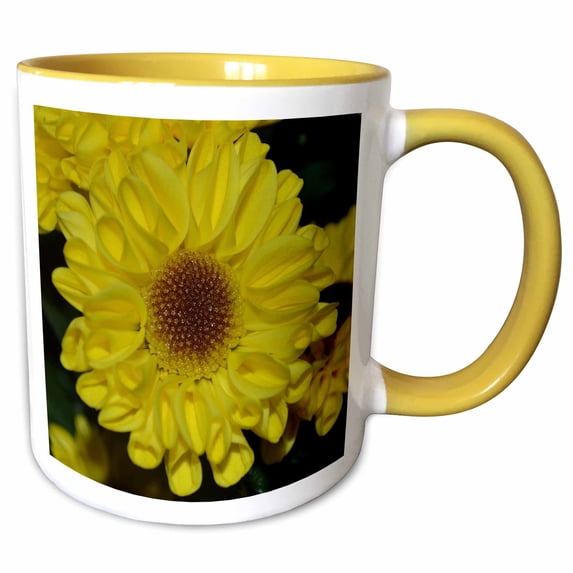 3drose, Sunflower Mum a Yellow Flower, 15oz Two-tone Yellow Mug