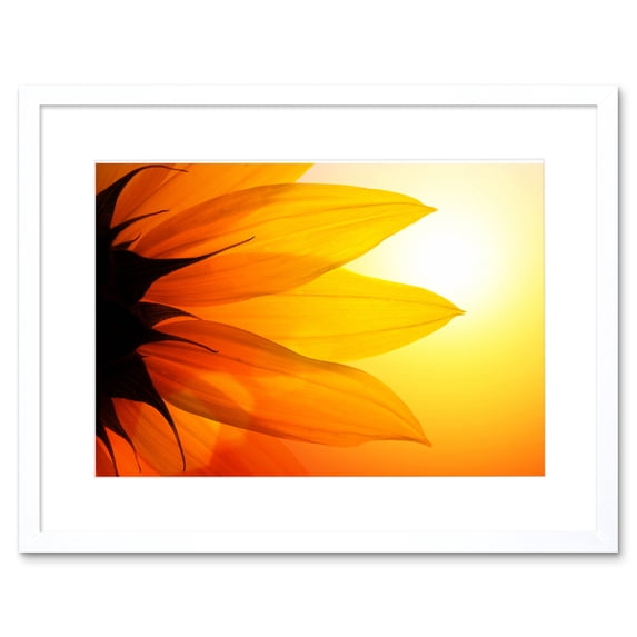 Sunflower Petals Close Up Framed Wall Art Print