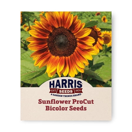 Harris Seeds ProCut Bicolor F1 Sunflower, Pollen-Free Yellow and Mahogany Blooms, 250 Count
