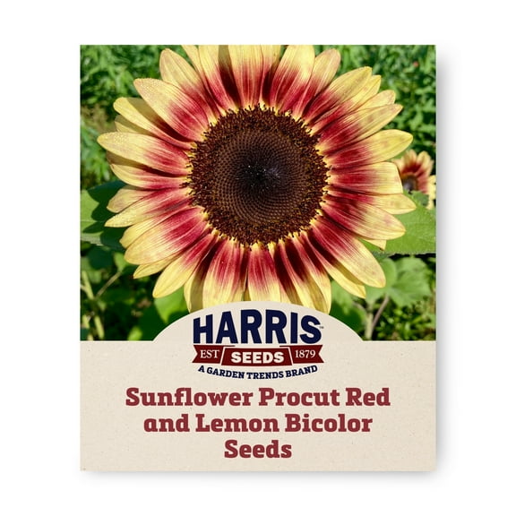 Harris Seeds - Sunflower Pro Cut Red and Lemon Bicolor F1 Seeds - Pollen-free - 250 Seeds