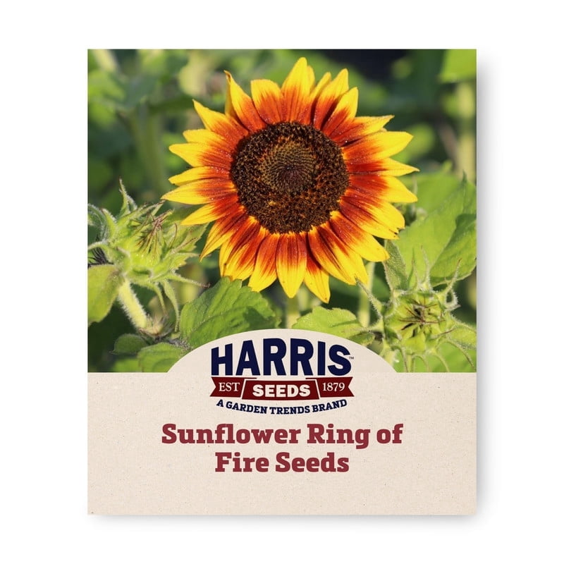 Harris Seeds Sunflower Ring of Fire, Non-GMO Bicolor Garden & Cut Flower Variety, 1,000 Count
