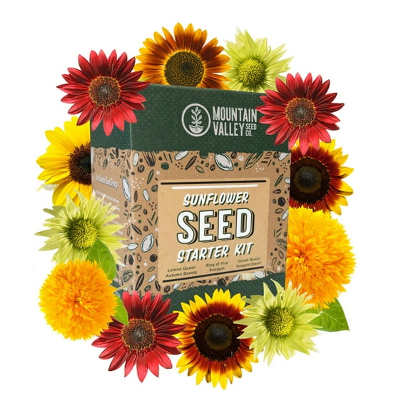 Sunflower Seed Starter Kit  Complete Growing Kit with High-Quality Seeds, Biodegradable Pots & Soil Pellets  Easy Indoor & Outdoor Gardening  Perfect for Beginners & Garden Enthusiasts