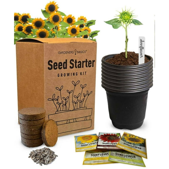 Sunflower Seed Starter Kit