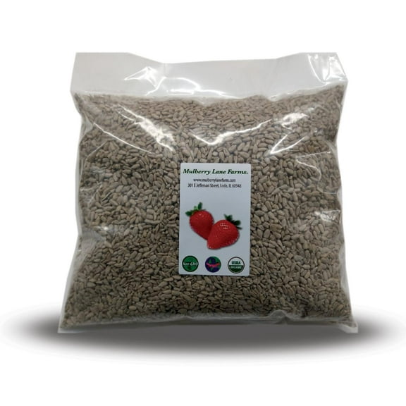 Sunflower Seeds, 5 Pounds (Five lbs) Shelled, Raw, Unsalted, No Salt, USDA Certified Organic, Non-GMO, Bulk.  Mulberry Lane Farms