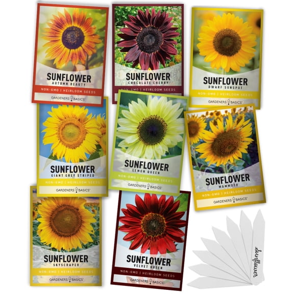 Sunflower Seeds For Planting | 8 Variety Pack