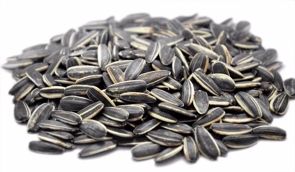 Sunflower Seeds In Shell Raw