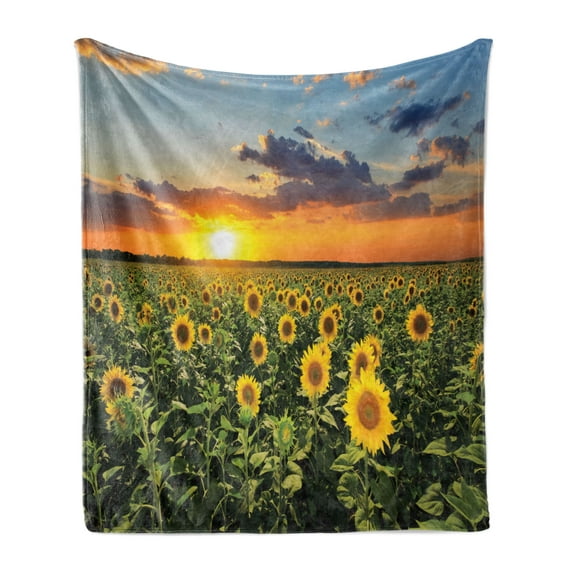Sunflower Soft Flannel Fleece Throw Blanket, Summer Nature Panorama of Field of Blooming Flowers at Cloudy Sunset Photo, Cozy Plush for Indoor and Outdoor Use, 60" x 80", Multicolor, by Ambesonne