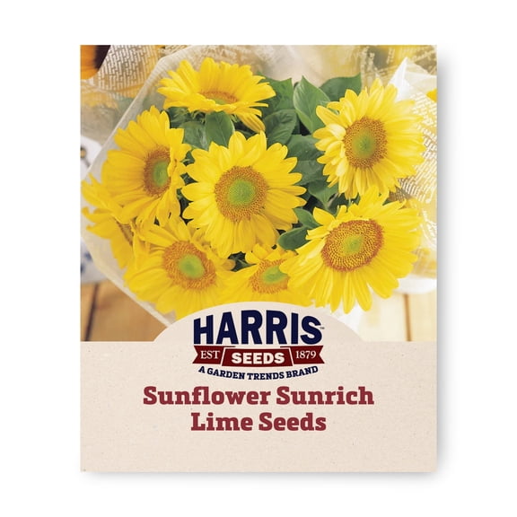 Harris Seeds Sunflower Sunrich Lime, Pollen-Free Cut Flower Variety, 250 Count