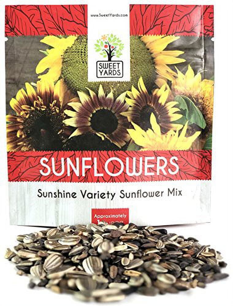 Sunflower Variety Mix 10 Types of Beautiful Sunflowers Bulk 1 Ounce