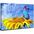 thumbnail image 1 of Sunflower Wall Art Butterfly Pictures Bathroom Decor Nature Landscape Blue Sky Canvas Prints Kitchen Sunflower Painting for Living Room Artwork Yellow Floral Posters Bedroom Home Decorations 12x16", 1 of 13