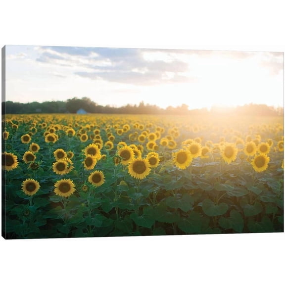 Sunflower Wall Art - Sunflower Canvas Wall Decor, Yellow Sunflowers Field Prints Pictures for Kitchen Decor, Nature Landscape Sunflower Painting, Framed Artwork for Bathroom Wall Decor (12x18 Inches)