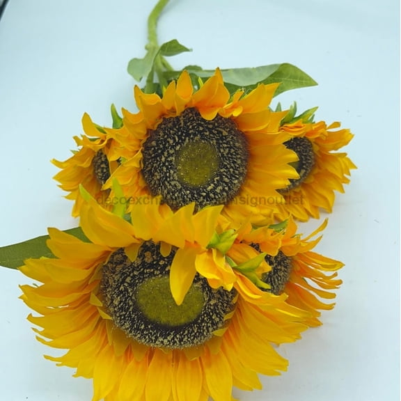 Sunflower X 5 Yel 12361