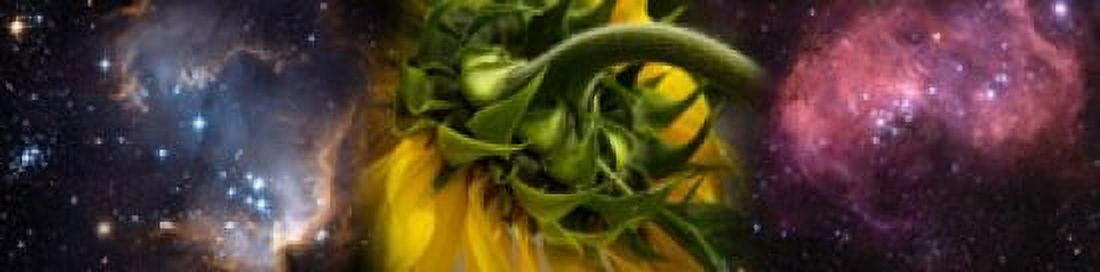 Sunflower in the Hubble cosmos Canvas Art - Panoramic Images (40 x 10)