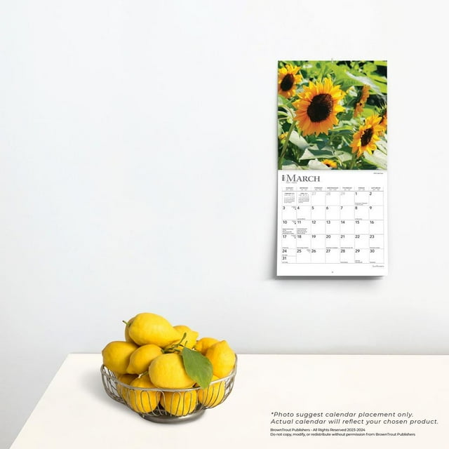 Sunflowers 2025 Mini 7x7 (Calendar)