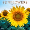 thumbnail image 1 of Sunflowers | 2026 12x24" (Hanging) Monthly Square Wall Calendar | Plato, 1 of 9