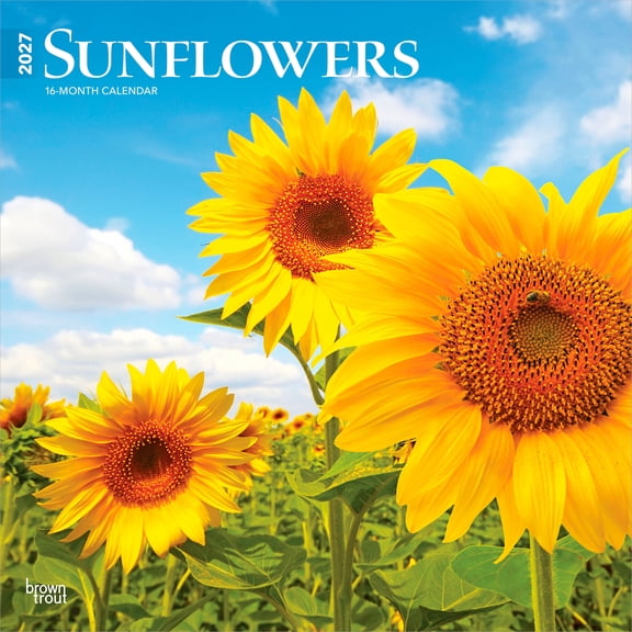 Sunflowers | 2027 12x24" (Hanging) Wall Calendar | Plastic-Free | BrownTrout